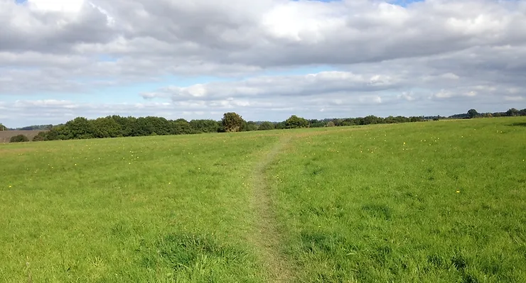 Kinsbourne Green Common Image